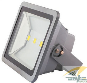 150W των υπαίθριων οδηγήσεων προβολέα 120D Refelctor μαύρη κάλυψης κατοικία αργιλίου χαλκού ελεύθερη